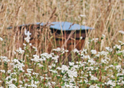 La Biodiversité chez Biocoop