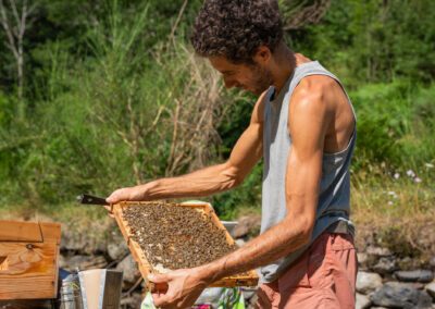 Le verger des abeilles