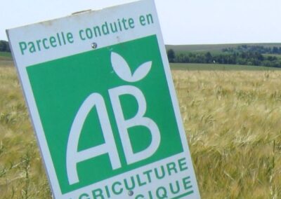L’Agriculture biologique : La grande oubliée