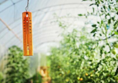 Canicule : paroles de producteurs